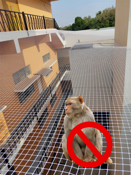 Monkey Net for Balconies in VIZAG
